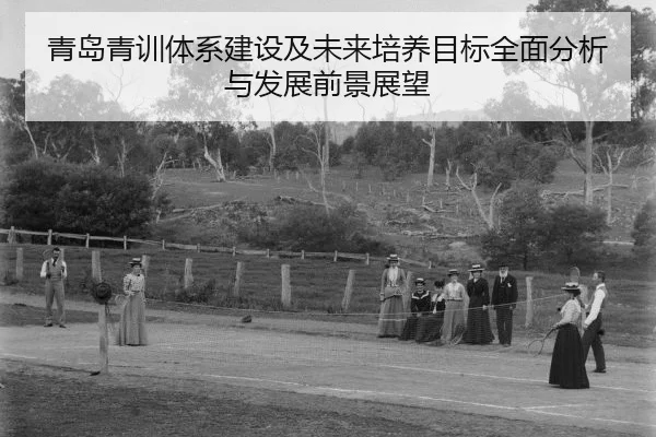 qing-dao-qing-xun-ti-xi-jian-she-ji-wei-lai-pei-yang-mu-biao-quan-mian-fen-xi-yu-fa-zhan-qian-jing-zhan-wang-2-369.jpg