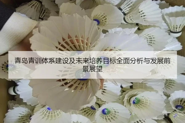 青岛青训体系建设及未来培养目标全面分析与发展前景展望