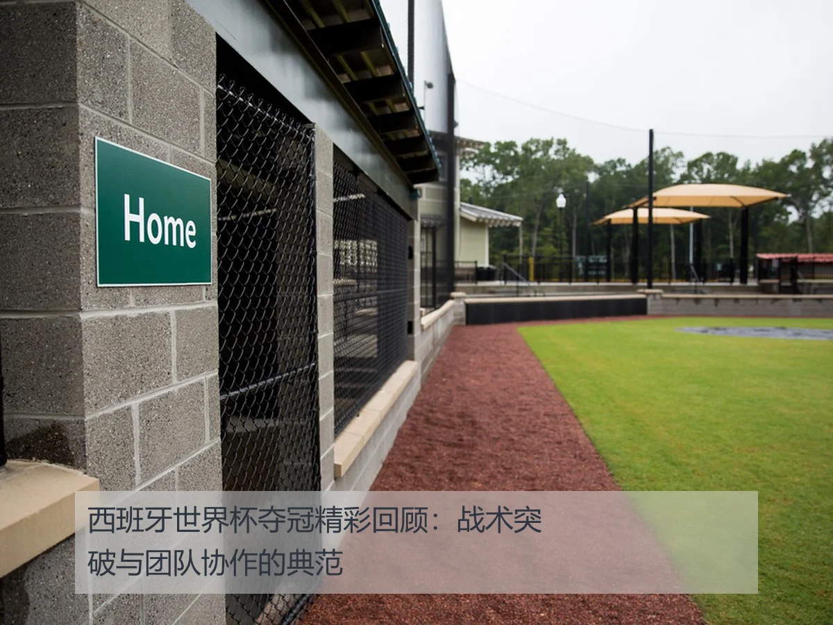 西班牙世界杯夺冠精彩回顾：战术突破与团队协作的典范